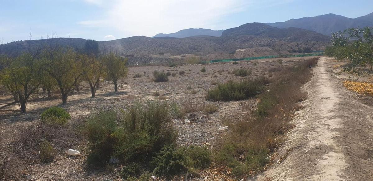 Terreno en venta en Benferri, Alicante photo 3