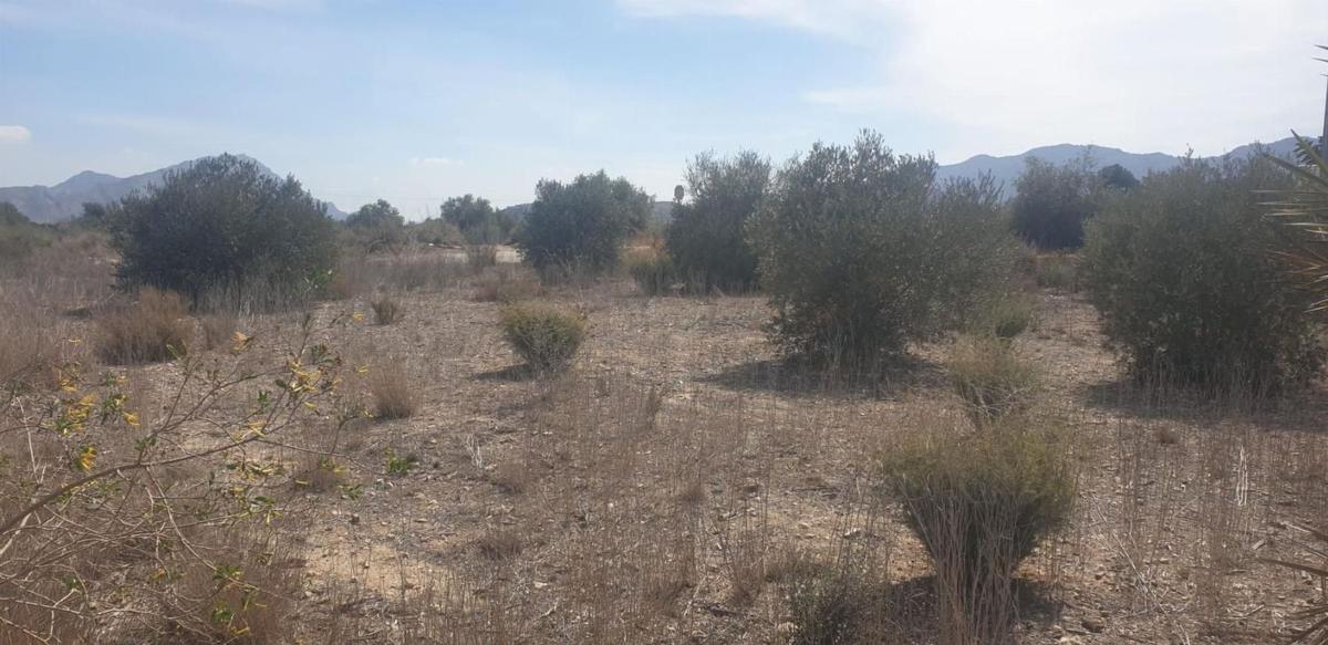 Terreno en venta en Benferri, Alicante photo 4