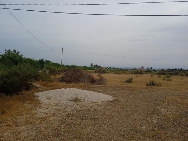Terreno en Partida Llano San José polígono 1, Algoda-Matola-Llano de San José, Elche / Elx photo 4