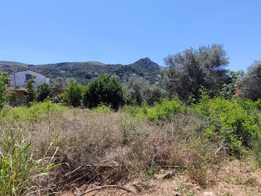 Terreno en venta en Pego, Alicante photo 3