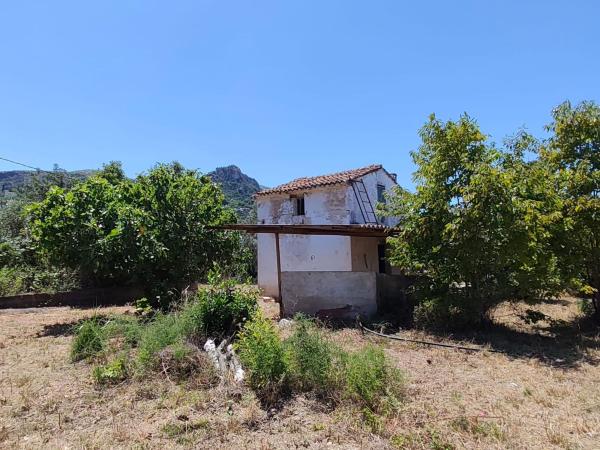 Terreno en Camino de Benumeia, Pego photo 4