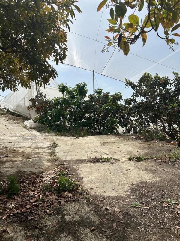 Terreno en venta en Callosa d''En Sarria, Alicante photo 1