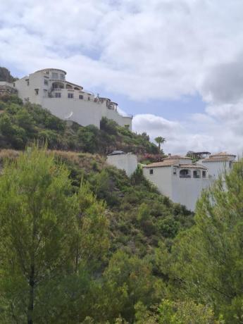 Terreno en Pego photo 3