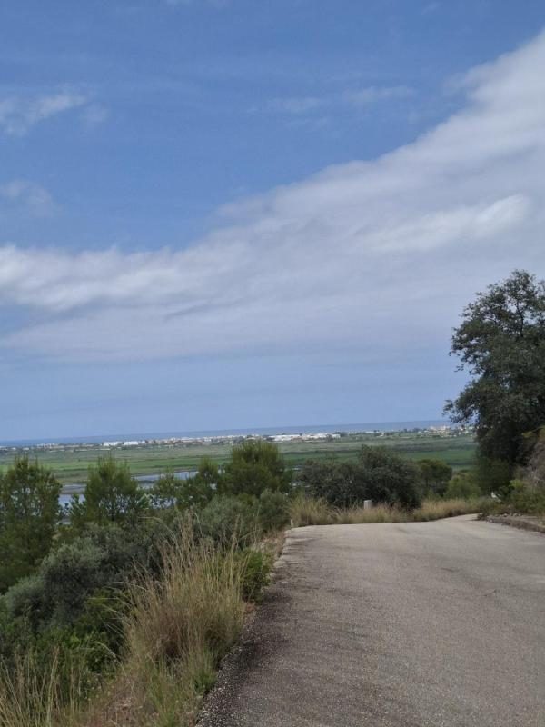 Terreno en venta en Pego, Alicante photo 4