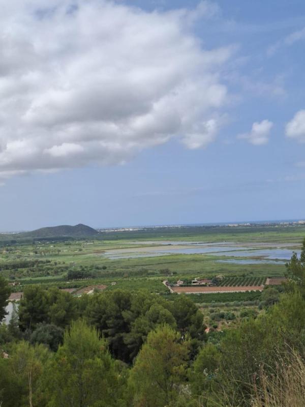 Terreno en venta en Pego, Alicante photo 5