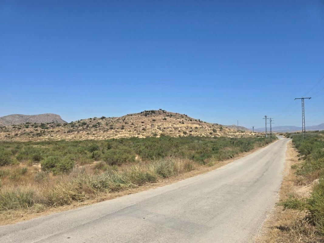 Terreno en venta en Aspe, Alicante photo 1