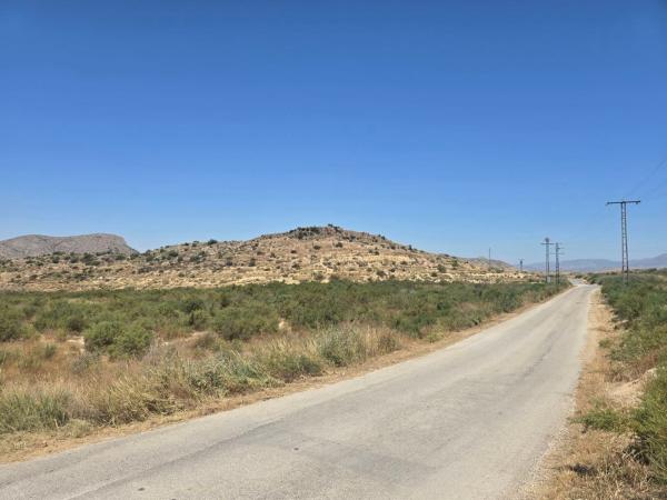 Terreno en Camino Tolomó Bajo, 90, Pedanías Oeste, Aspe photo 1