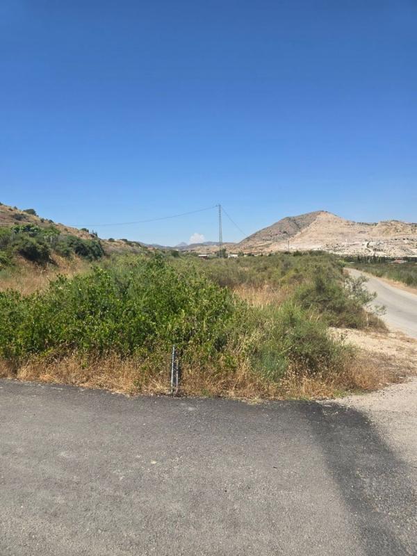 Terreno en venta en Aspe, Alicante photo 3