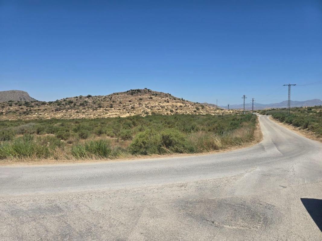 Terreno en venta en Aspe, Alicante photo 5