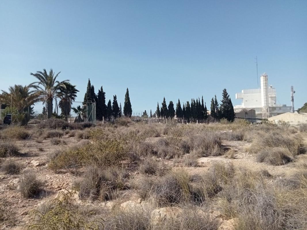 Działka na sprzedaż w Alicante / Alacant, Alicante photo 4