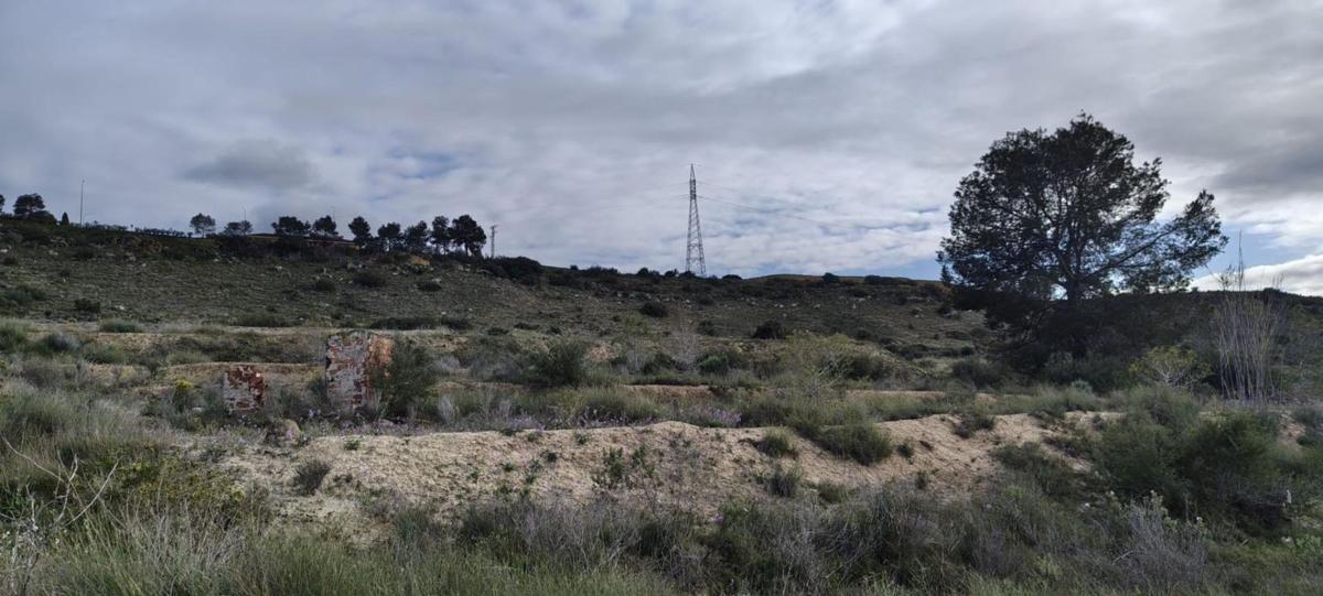 Terreno en venta en Elche / Elx, Alicante photo 4
