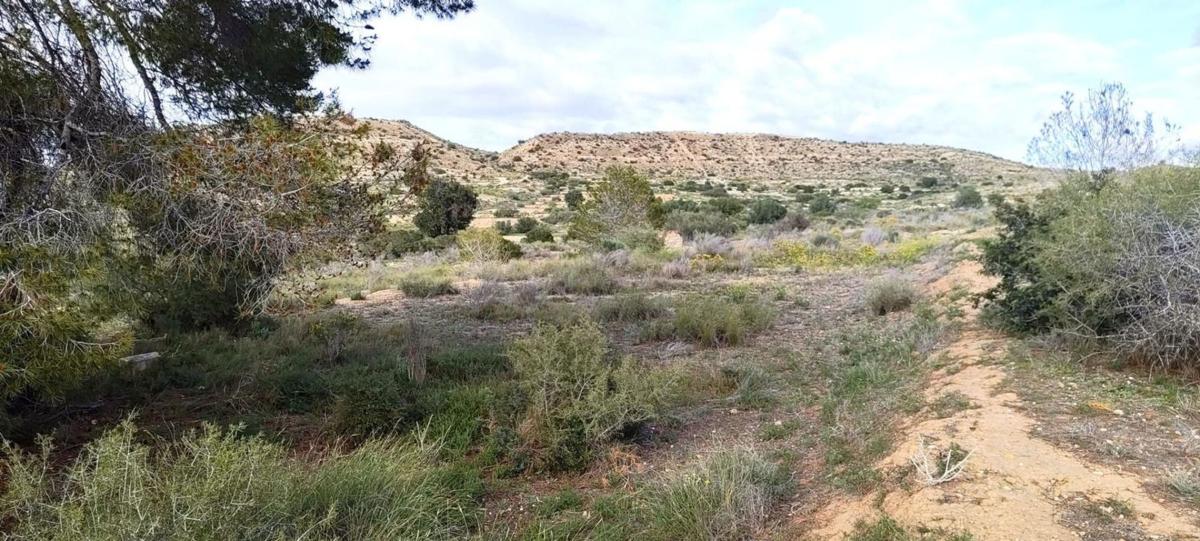 Terreno en venta en Elche / Elx, Alicante photo 5