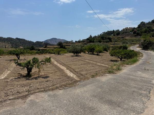 Terreno en Partida del llinar, 262, Sella thumbnail 1