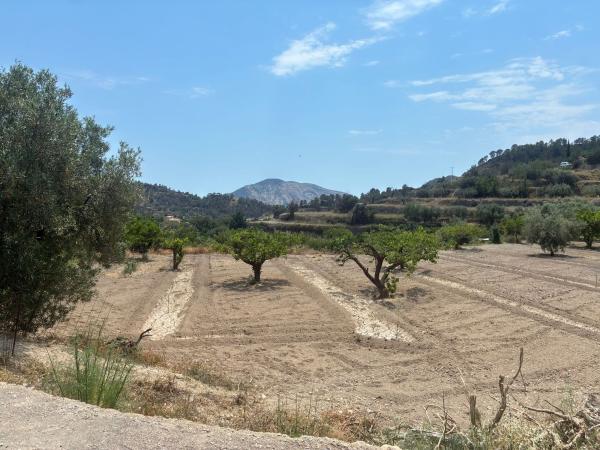 Terreno en Partida del llinar, 262, Sella thumbnail 2