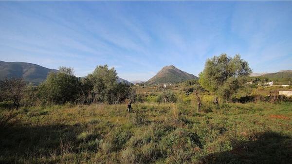 Terreno en Murla photo 2