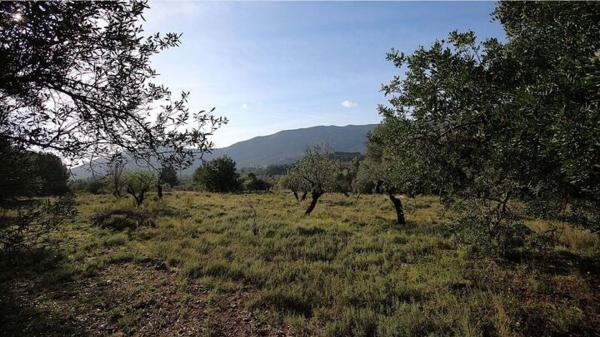 Terreno en Murla photo 3