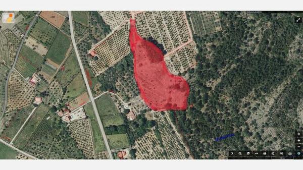 Terreno en Murla photo 4
