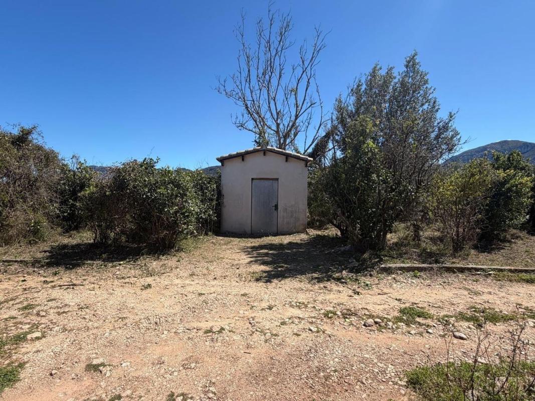 Terreno en venta en Pego, Alicante photo 3