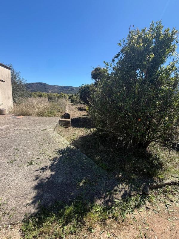 Terreno en venta en Pego, Alicante photo 4