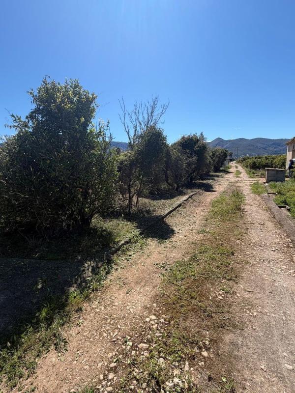 Terreno en venta en Pego, Alicante photo 5