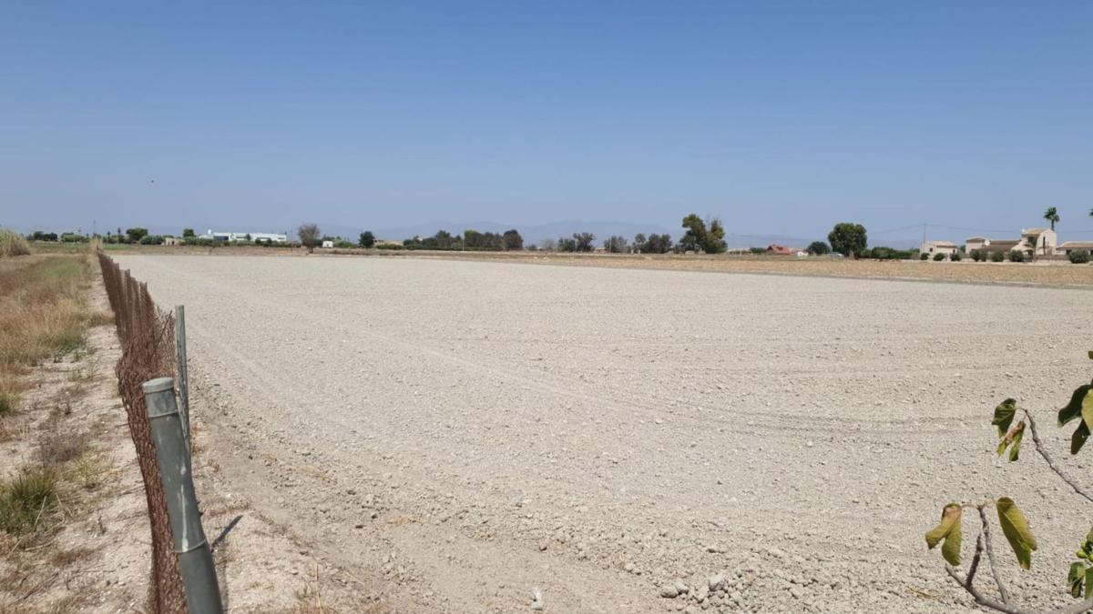 Terreno en venta en San Fulgencio, Alicante photo 1