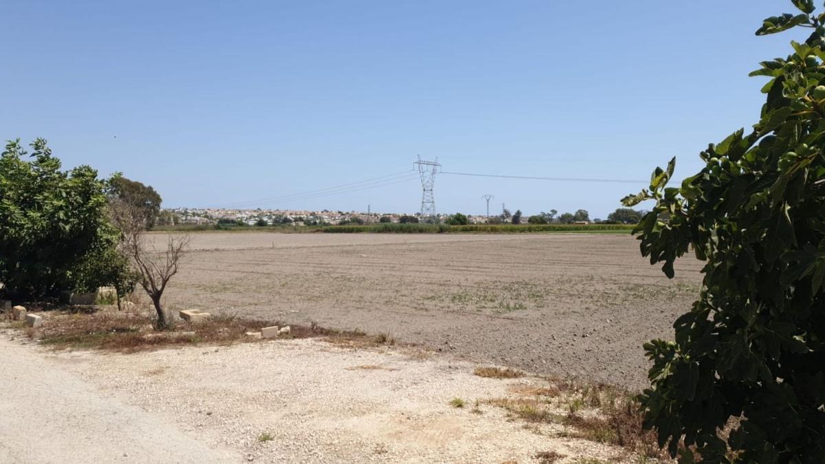 Terreno en venta en San Fulgencio, Alicante photo 2