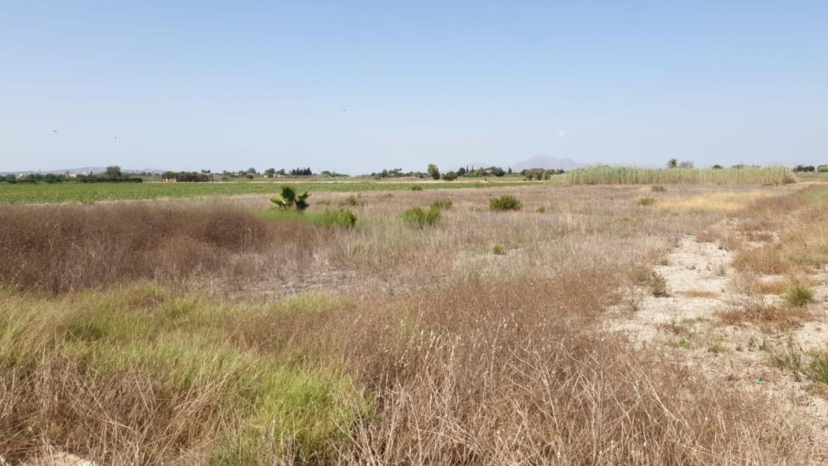 Terreno en venta en San Fulgencio, Alicante photo 3