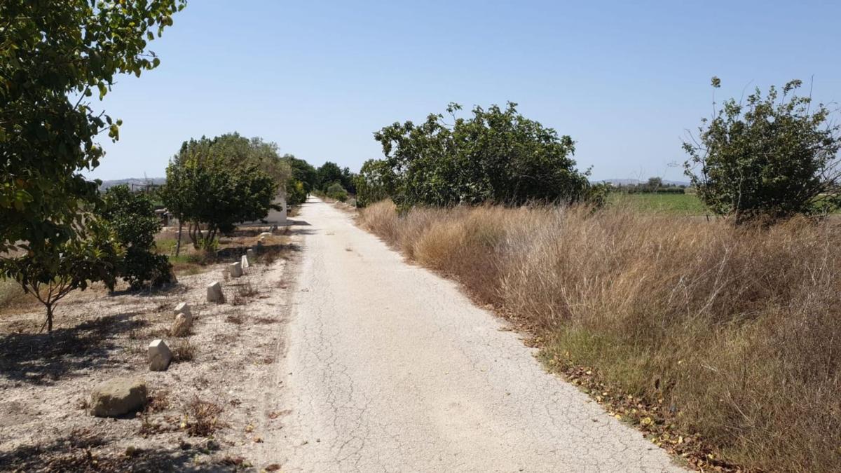 Terreno en venta en San Fulgencio, Alicante photo 4