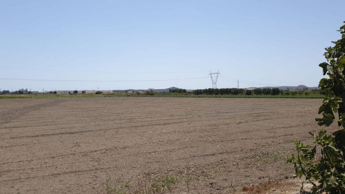 Terreno en venta en San Fulgencio, Alicante photo 5