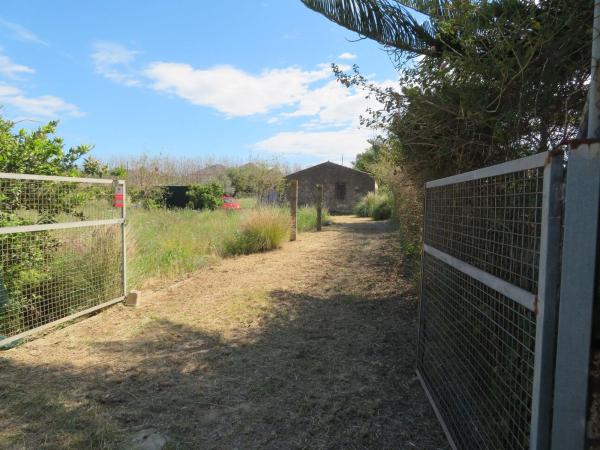 Terreno en Ondara photo 1