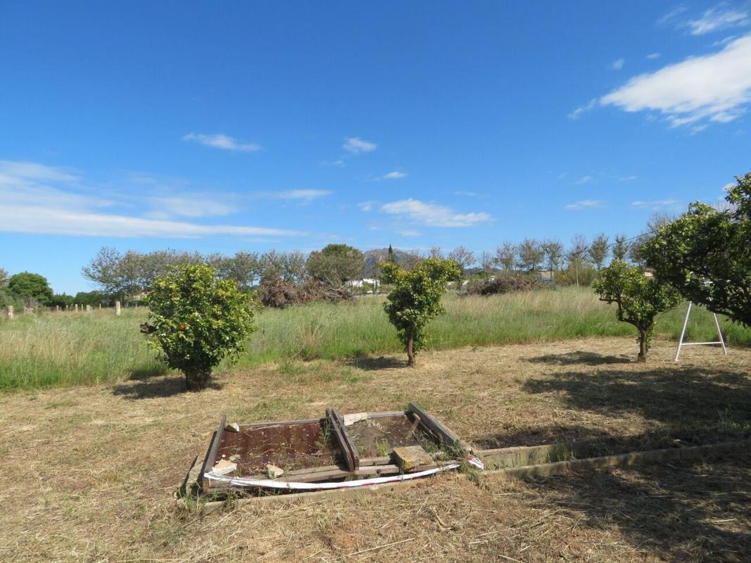 Terreno en venta en Ondara, Alicante photo 5
