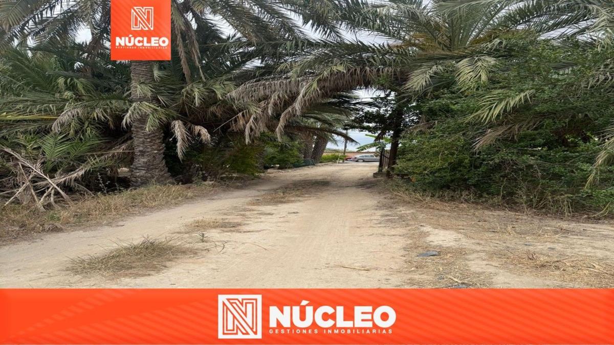 Terreno en venta en Elche / Elx, Alicante photo 1