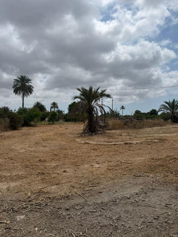 Terreno en venta en Elche / Elx, Alicante photo 2