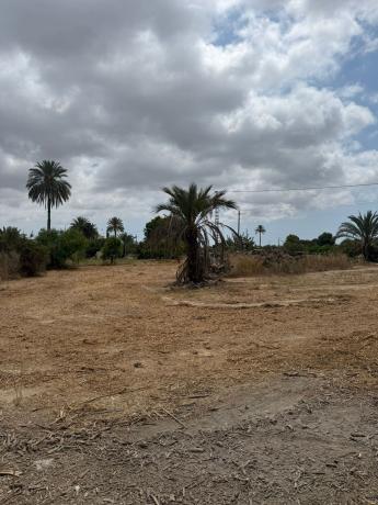 Terreno en Camino de Matola, Algoda-Matola-Llano de San José, Elche / Elx photo 2
