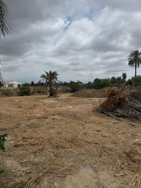 Terreno en venta en Elche / Elx, Alicante photo 3
