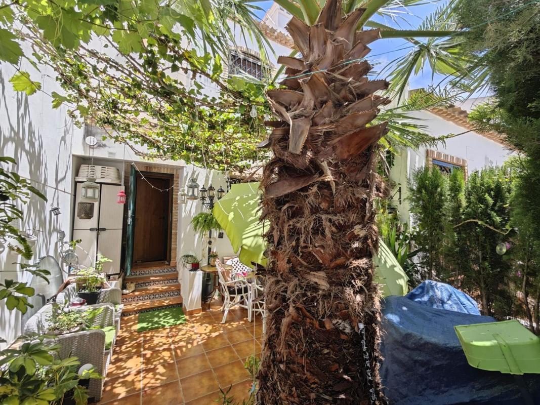 Properties for sale and rent in Spain photo 3
