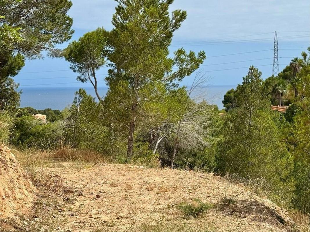 Terreno en venta en Altea, Alicante photo 4
