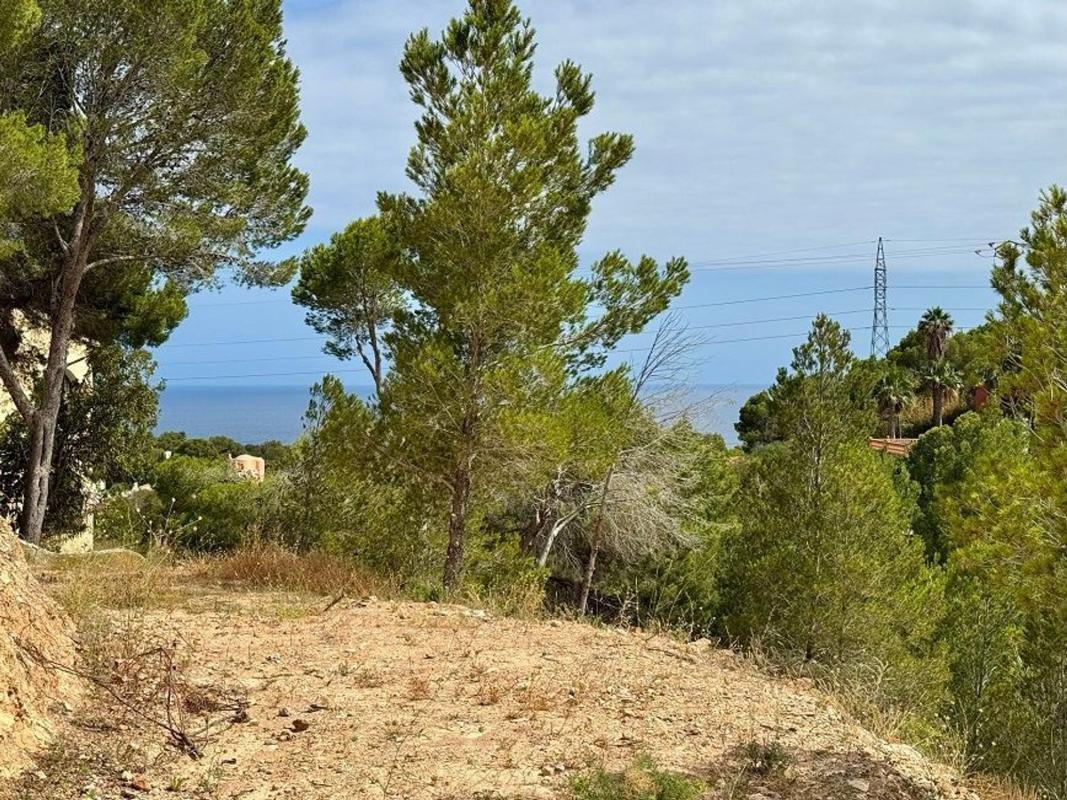 Terreno en venta en Altea, Alicante photo 5
