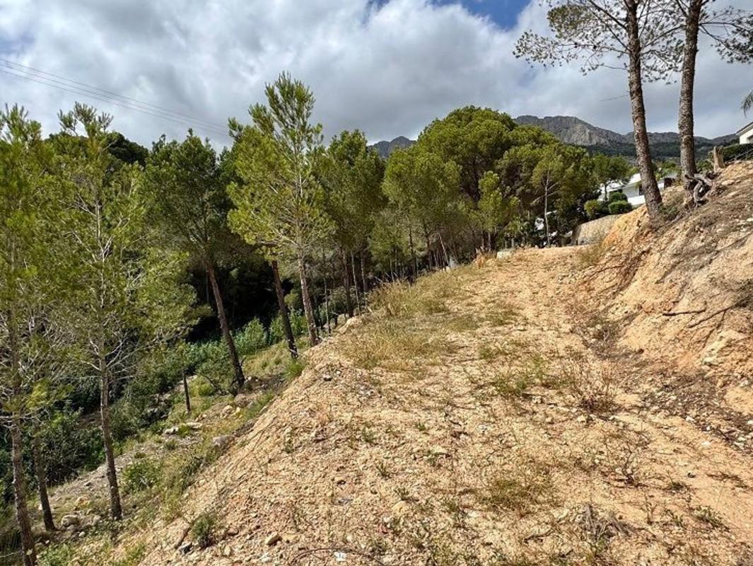 Terreno en venta en Altea, Alicante photo 5