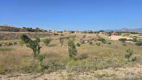 Terreno en Monovar photo 1