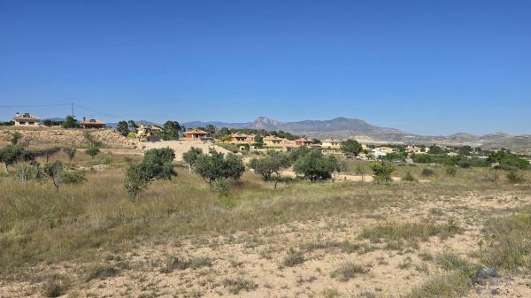 Terreno en Monovar photo 3