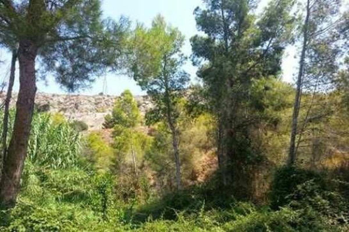Terreno en venta en Altea, Alicante photo 5