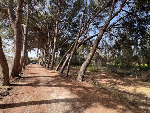 Terreno en Camino de las Parras, 29, Villafranqueza, Alicante / Alacant thumbnail 2