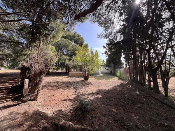 Terreno en Camino de las Parras, 29, Villafranqueza, Alicante / Alacant photo 4