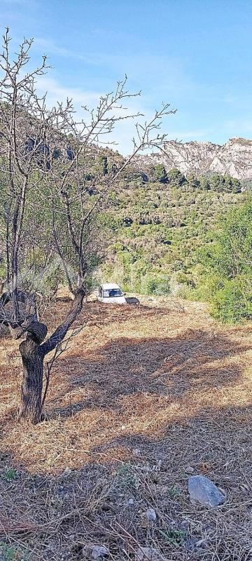 Terreno en venta en Tarbena, Alicante photo 3