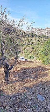 Terreno en Poligono 7 s/n, Tarbena photo 3