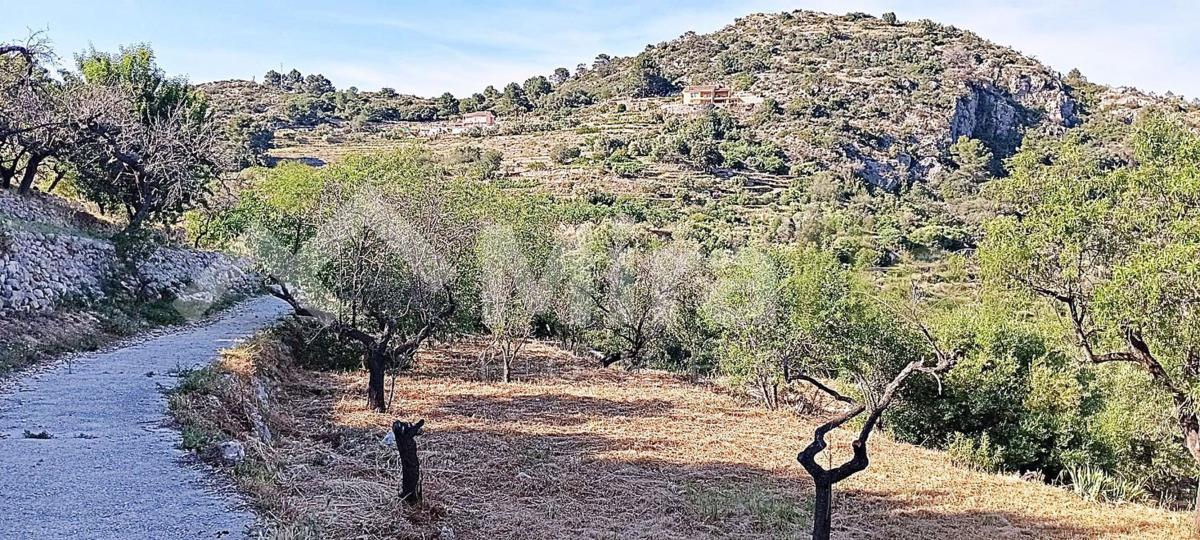 Terreno en venta en Tarbena, Alicante photo 4