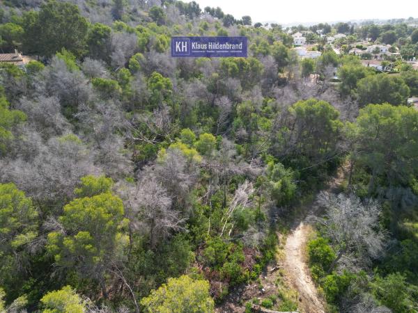 Terreno en Calle Masolino, 19, Pinomar - Pinosol, Jávea/Xàbia photo 3