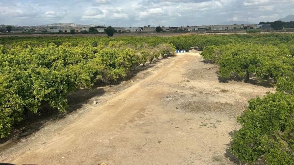 Terreno en Vereda del rincon, 1, Formentera del Segura photo 1