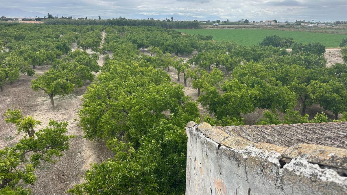 Участок земли на продажу в Форментера дель Сегура, Аликанте photo 2